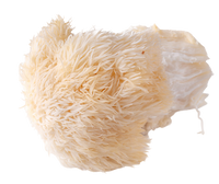 Lion's Mane Mushroom
